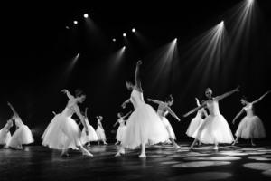 Ballet Volwassenen - Zwolse Balletschool